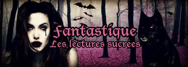 bannière fantastique