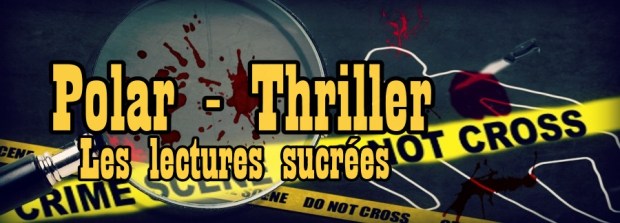 bannière polar thriller