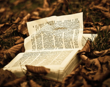 Capture d’écran 2015-12-31 à 11.17.13