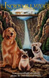 l-incroyable-voyage-film-4916.jpg