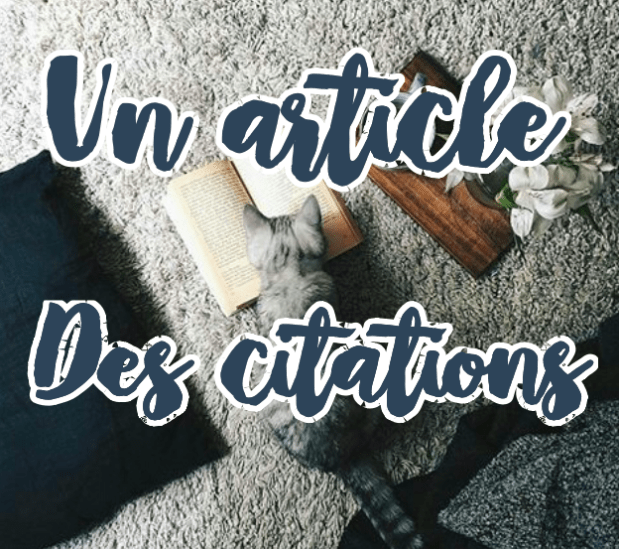 Capture d’écran 2018-08-24 à 16.06.01.jpg