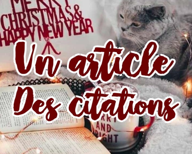 Capture d’écran 2018-12-04 à 20.18.42.jpg